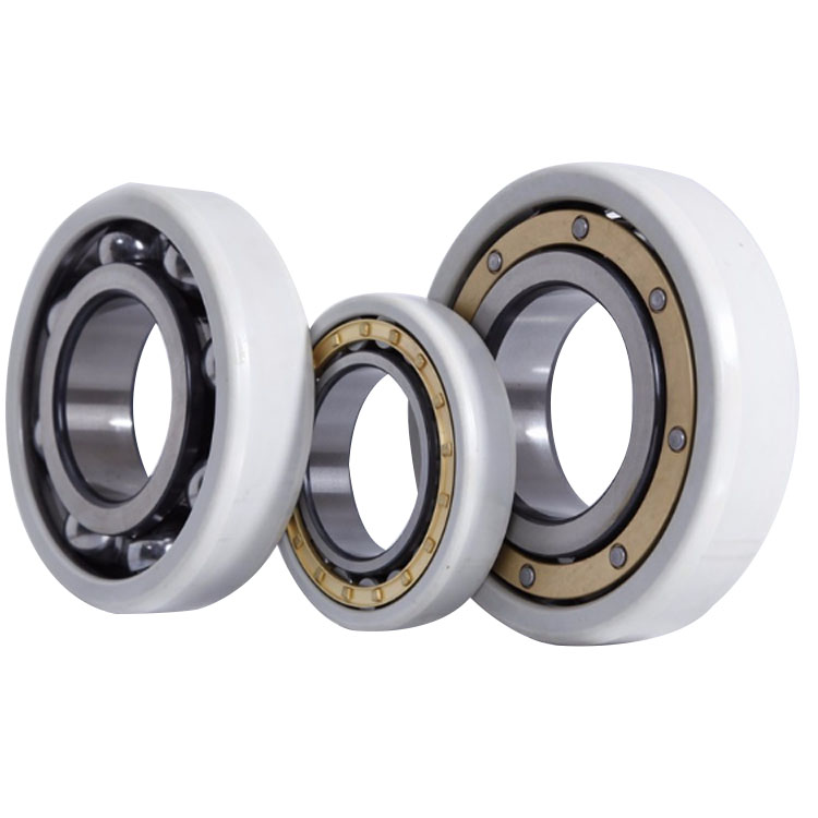 Electric Insulated bearings